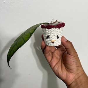 Pre-Order Crochet pot covers