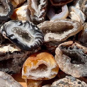 May include: A collection of various geode stones, showcasing a range of colors and textures. The geodes display a mix of gray, white, and brown hues, with some featuring crystal formations inside. The image is a close-up, highlighting the natural beauty of the stones.