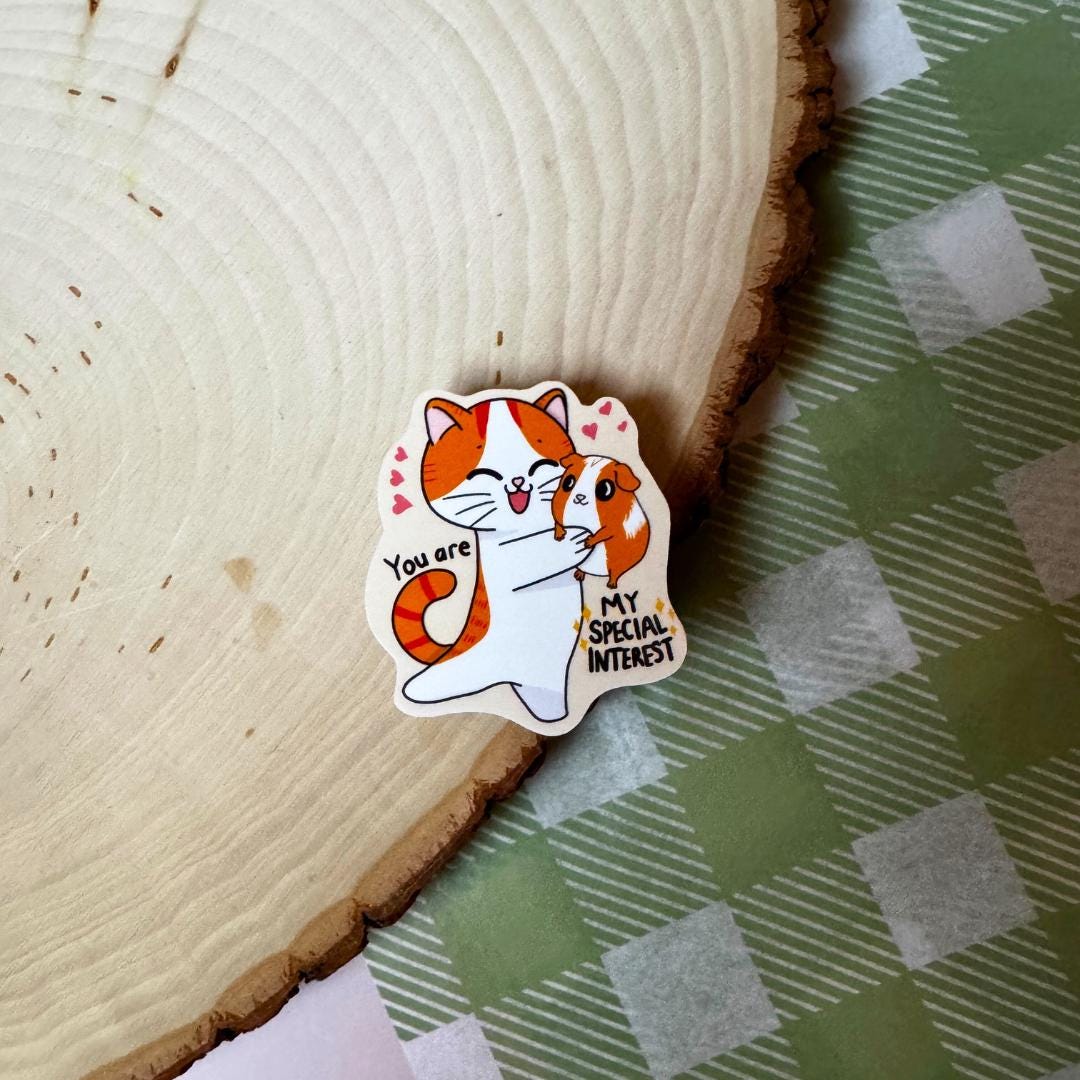 You're My Special Interest Vinyl Sticker - Etsy