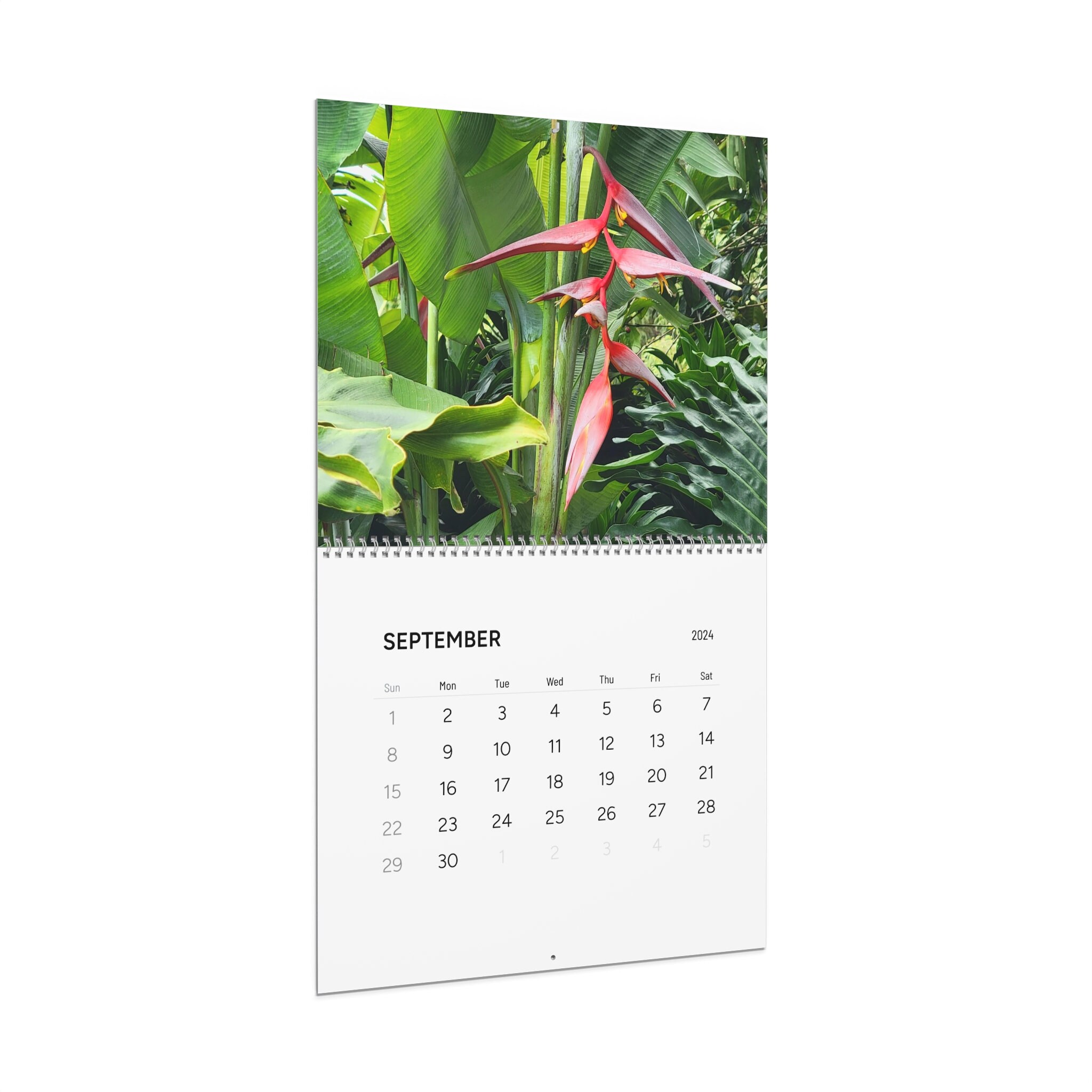 Tropical Flower Wall Calendars 2024 Variety Vibrant Exotics, Something