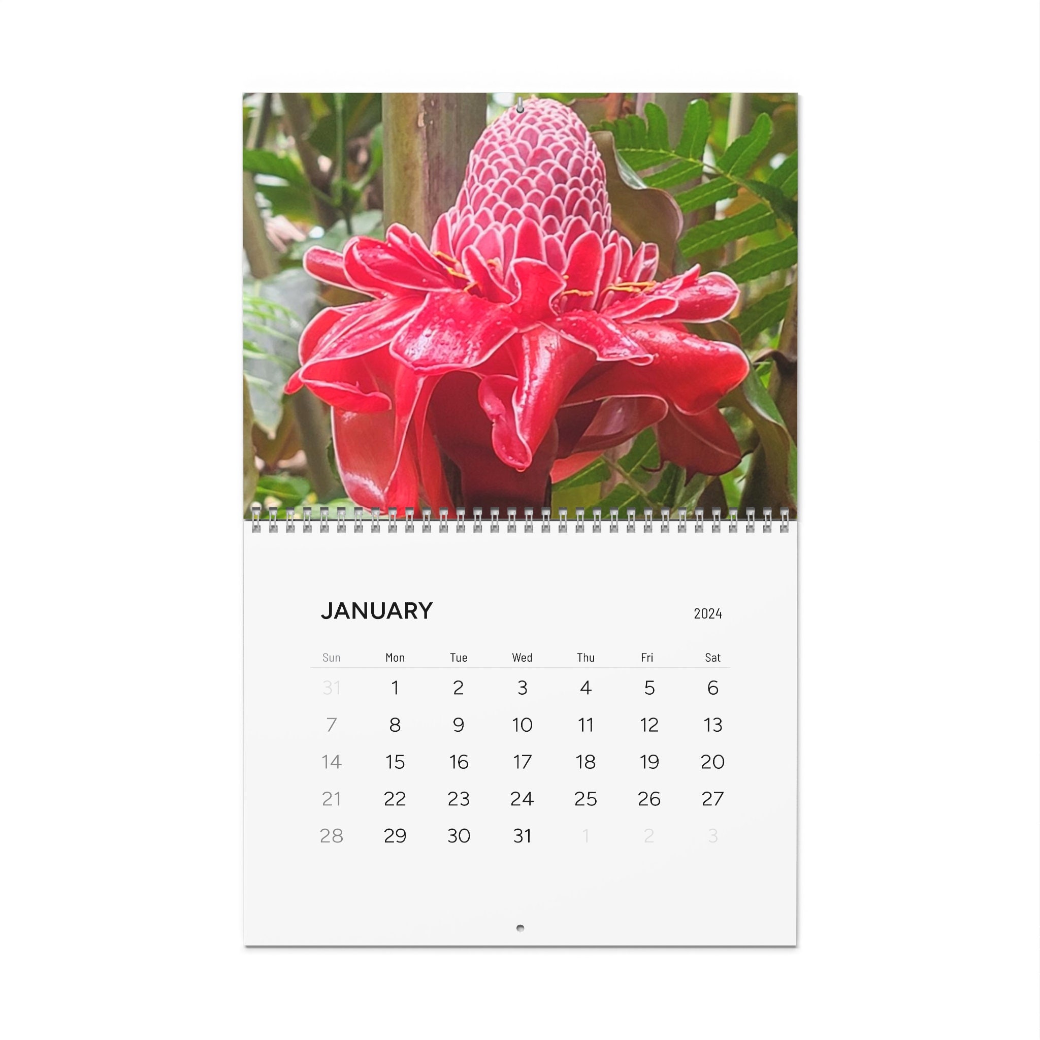 Tropical Flower Wall Calendars 2024 Variety Vibrant Exotics, Something