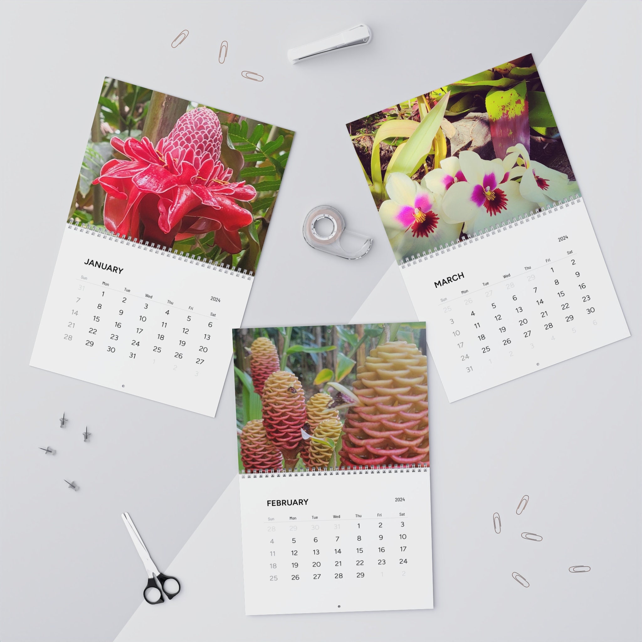 Tropical Flower Wall Calendars 2024 Variety Vibrant Exotics, Something