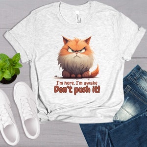 Angry Cat Meme I'm Grumpy So What Kids Sweatshirt