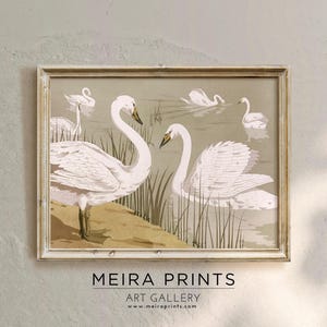Vintage Swans Bird Printable Wall Art, Neutral Antique Swan Painting, Country Farmhouse Decor, Swan Art Print, Downloadable Art