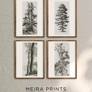 Vintage Trees Gallery Wall Prints Set of 4, Antique Neutral Trees Art Print, Tree Etching Sketches, Rustic Farmhouse Decor, Digital