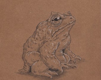 Brown Toad - original charcoal artwork