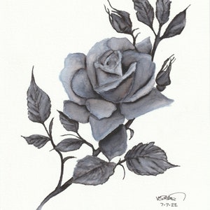 Black Rose - original watercolor artwork