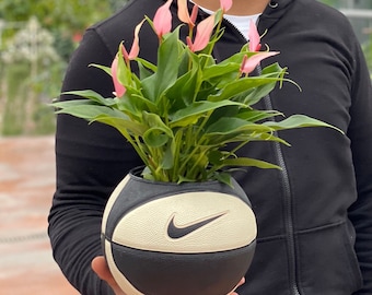 Mini jardinière basketball Nike - Swann’Art