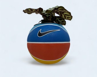 Mini jardinière basketball Nike - Swann’Art