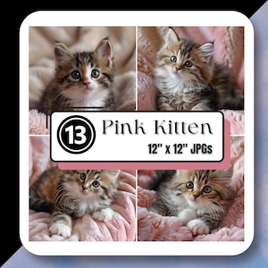 ピンクの毛布の上のトラ猫のJPGクリップアート 猫科のかわいい猫の甘いストックフォトクリップアート 高品質の即時デジタルダウンロード 商用利用