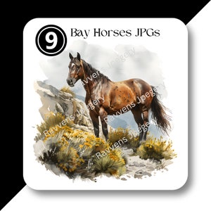 May include: A brown and white spotted horse stands on a rocky mountainside with yellow wildflowers. The horse has a dark mane and tail. The image is labelled "Bay Horses JPGs" and numbered "9".
