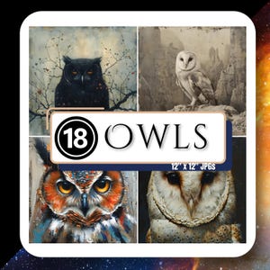 Portrait of an OWL Digital Paper 12&quot; JPG Whimsical Animal Clipart for Cards Scrapbooks Journal High Quality Instant Download Commercial Use