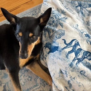 Custom Dog Blanket Gift Personalized Dog Bed Cover Name Dog House Blanket Blue Dog Car Luxury Aesthetic Sofa Cover New Puppy Gift Dog Owner image 2