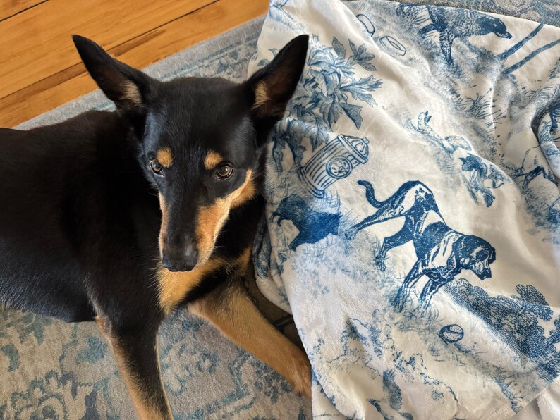 Custom Dog Blanket Gift Personalized Dog Bed Cover Name Dog House Blanket Blue Dog Car Luxury Aesthetic Sofa Cover New Puppy Gift Dog Owner image 2