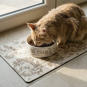 A fluffy orange cat is sitting on a mat and eating food from a bowl.