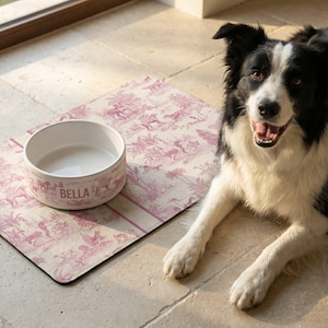 A black and white dog is sitting on the floor next to a pink and white patterned dog bowl, with a pink and white patterned mat in front of the bowl.