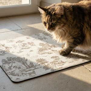 A fluffy cat with a striped coat is walking on a patterned rug in a room with a window.