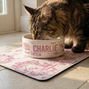 A brown and black cat is eating from a bowl with the name "CHARLIE" printed on it, placed on a pink and white patterned mat.