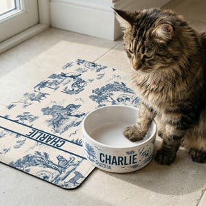 A tabby cat is sitting on a tiled floor next to a white bowl with the name "Charlie" printed on it.
