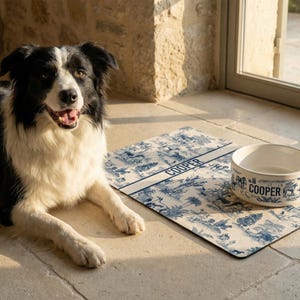 A black and white dog is sitting on the floor next to a white bowl with the word "COOPER" printed on it.
