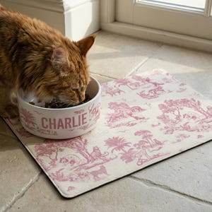 A brown cat is eating from a bowl with the name "Charlie" printed on it, placed on a pink and white patterned mat.