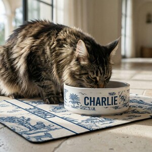 A tabby cat is sitting on a blue and white mat, eating from a white bowl with the name "Charlie" printed on it.