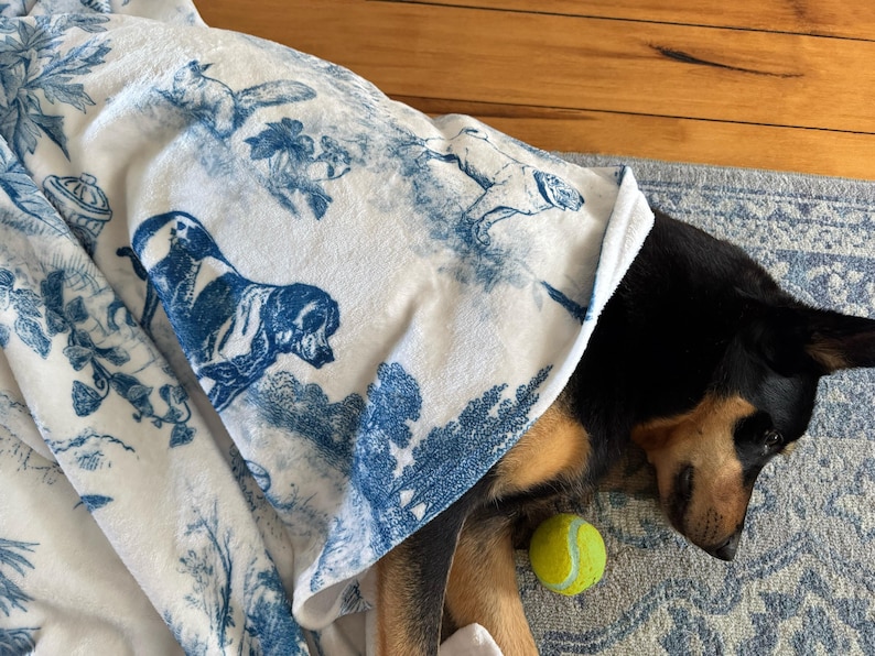 Custom Dog Blanket Gift Personalized Dog Bed Cover Name Dog House Blanket Blue Dog Car Luxury Aesthetic Sofa Cover New Puppy Gift Dog Owner image 3