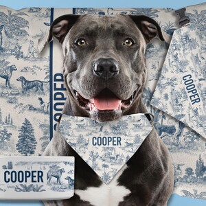 Custom Dog Blanket Gift Personalized Dog Bed Cover Name Dog House Blanket Blue Dog Car Luxury Aesthetic Sofa Cover New Puppy Gift Dog Owner image 12