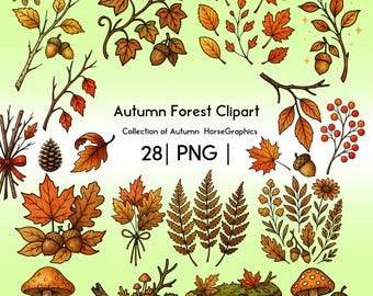 Herfstclipart | 28 png-bladeren herfst | Handgetekende herfstelementen |  | Digitale download