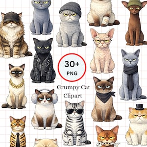 May include: A selection of grumpy cat clipart images. The cats are illustrated in diverse styles, sporting accessories such as hats, sunglasses, and bandanas. The image includes the text "30+ PNG" and "Grumpy Cat Clipart".