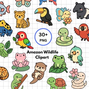 Amazon Wildlife Clipart PNG | Cute Jungle Animals Clipart Bundle | Tropical Rainforest Animals