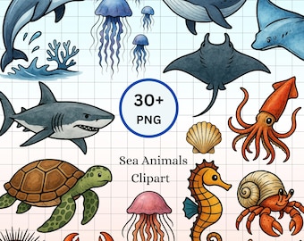 Akwarele ze zwierzętami morskimi | Clipart podwodny | Ocean PNG | Życie morskie (pobieranie cyfrowe)