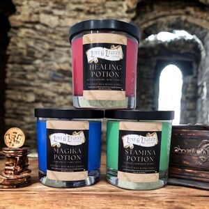 The Potion Collection Fantasy Candle, Fantasy Themed Candle, Roleplaying Candle, Tabletop Adventure Candle, DnD themed candle, Nerd Candle