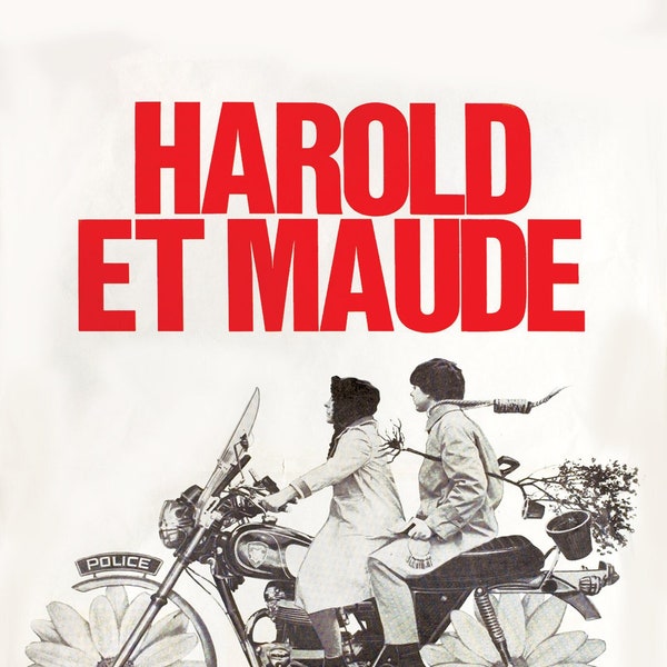 Harold and Maude - Alternative French Film Movie Print Wall Art Poster