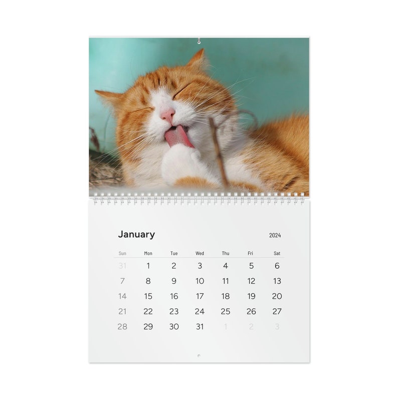 2024 Cat Calendar Etsy