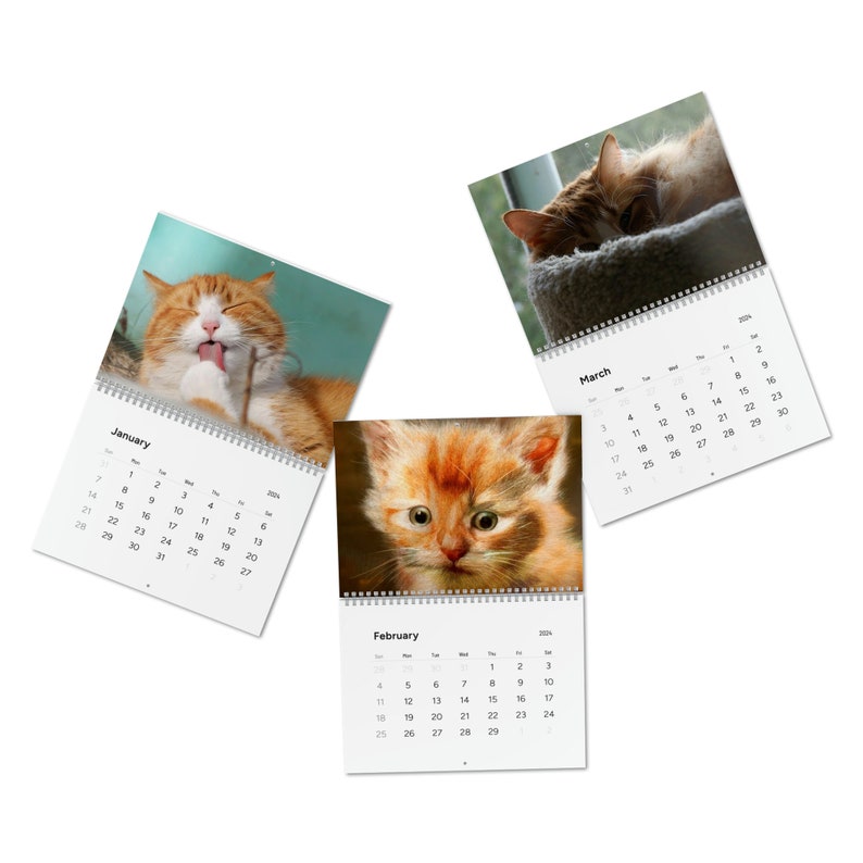 2024 Cat Calendar Etsy