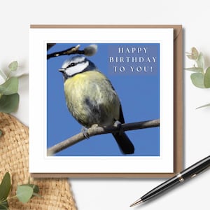 Blue-Tit Birthday Card | Wildlife Card | Bird lover | Nature Card | Garden Birds | Card for Her | Happy Birthday | Wildlife Photography