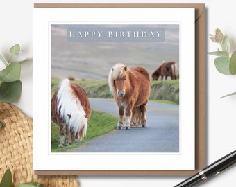 Dartmoor Shetland Ponies Birthday Card | Dartmoor Photographic Card | Wildlife Greeting Card | Horse Photography
