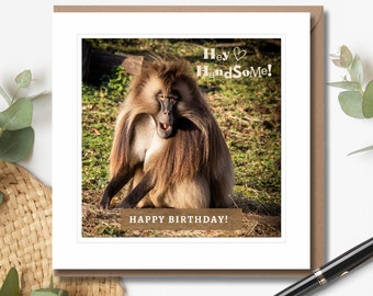 Hey Handsome! - Birthday Card | Humorous Birthday Card | Wildlife Photography | Baboon Card | Blank Inside