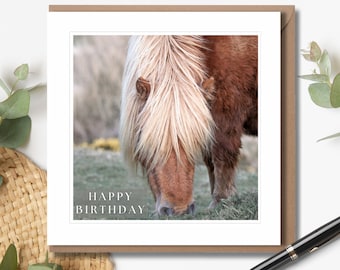 Shetland Pony Birthday Card | Dartmoor Photographic Card | Wildlife Greeting Card | Horse Photography