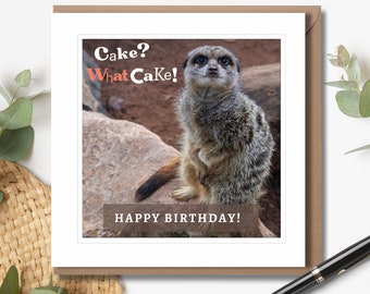 Cake? What Cake? - Birthday Card | Humorous Birthday Card | Funny Birthday Card | Blank Greeting Cards