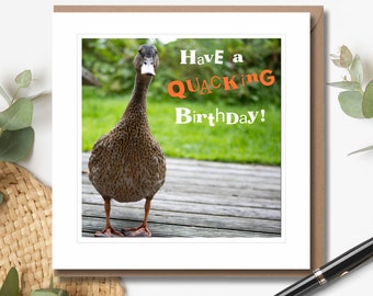Have a Quacking Birthday - Birthday Card | Humorous Birthday Card | Funny Birthday Card | Duck Photography | Wildlife Card