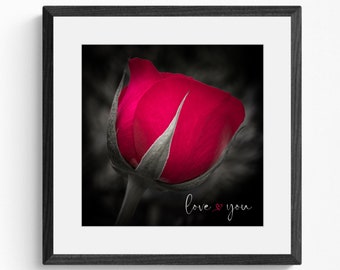Personalised Red Rose | Anniversary Gift | Framed Wall Art | Fine Art Photography | Gift for Her