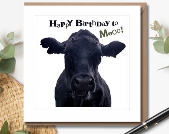 Happy Birthday to Mooo! - Birthday Card | Humorous Birthday Card | Cow Card | Wildlife Photography | Blank Inside