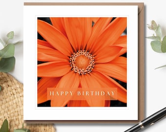 Orange Gazania Birthday Card | Floral Birthday Card | Fine Art Photography | Blank Greeting Cards