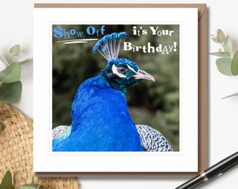 Show Off, it's Your Birthday! - Birthday Card | Humorous Birthday Card | Peacock Card | Wildlife Photography | Blank Inside
