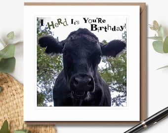 I Herd it's Your Birthday! - Birthday Card | Humorous Birthday Card | Wildlife Card | Cow Photo | Blank Inside