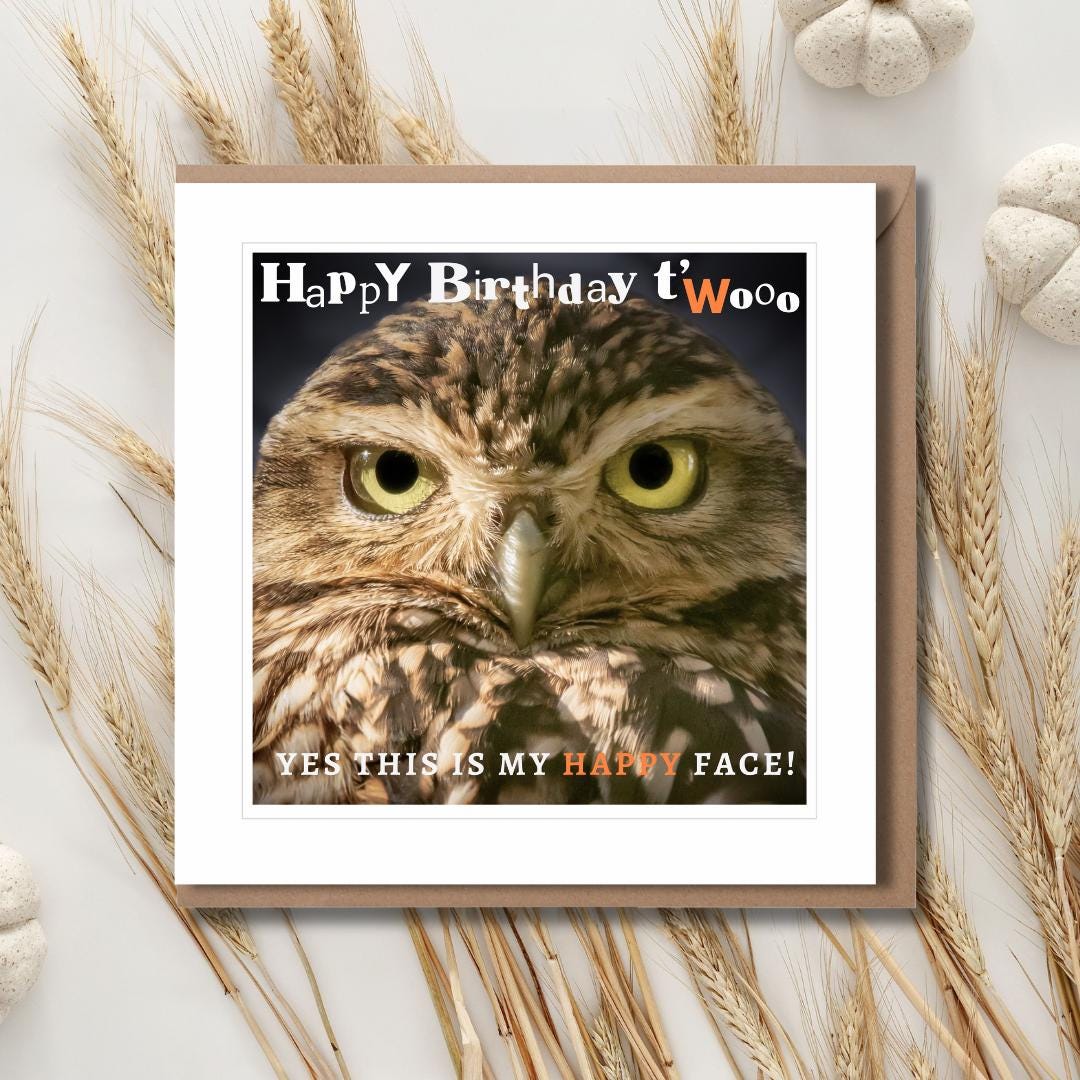 Funny Owl Birthday Card | Wildlife Card | Comedy | Nature Lover | Kids Cards