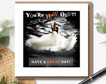 You're How Old? - Birthday Card | Humorous Birthday Card | Swan Card | Wildlife Photography | Blank Inside