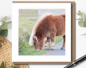 Grazing Shetland Pony Birthday Card | Dartmoor Photographic Card | Wildlife Greeting Card | Horse Photography